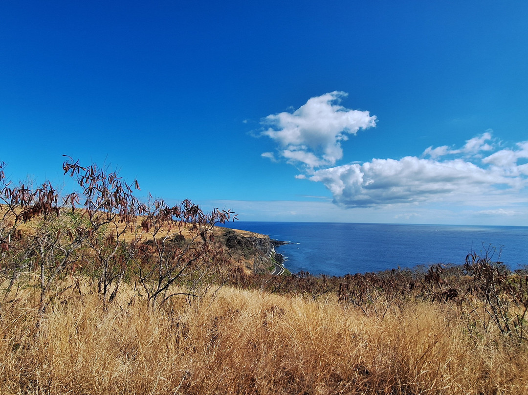 Cap La Houssaye-圣保罗必去景点