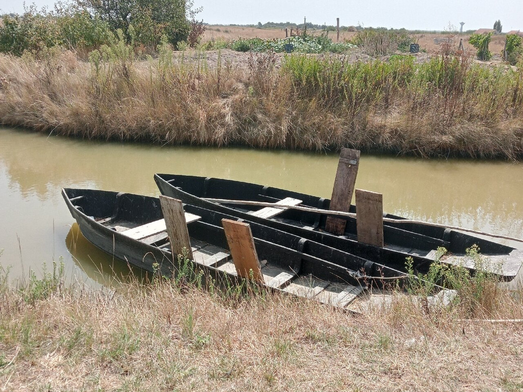 Déambul, Balade en Yole et Calèche-Le Perrier必去景点