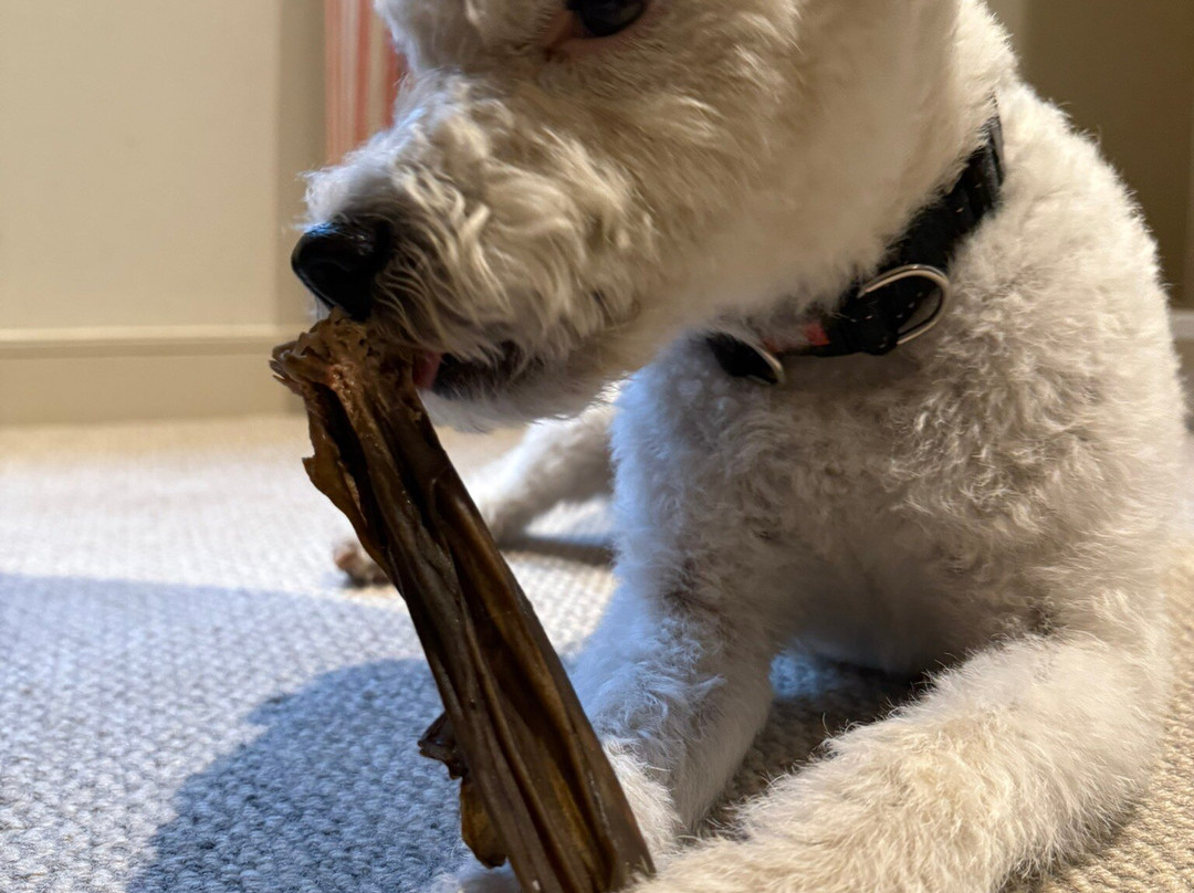 The Duke’s Head主图