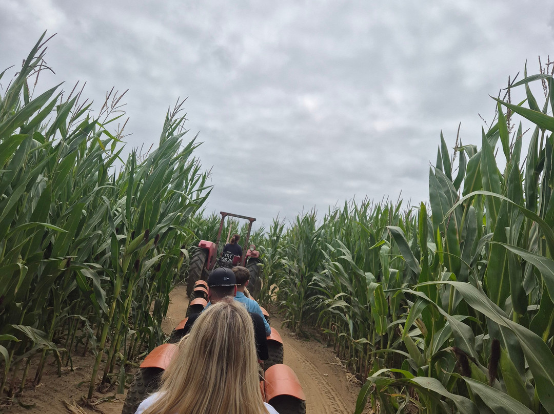 Hirsty's Family Fun Park-Hemsby必去景点