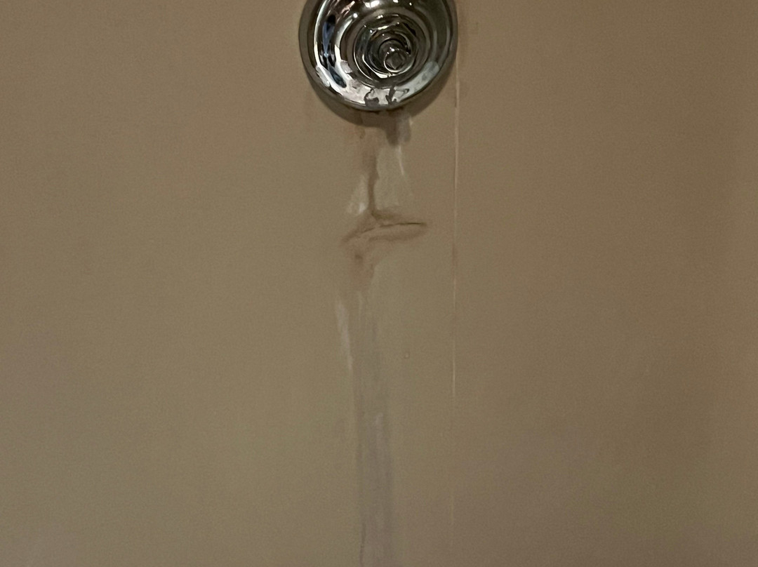 Ferretti Majestic House主图