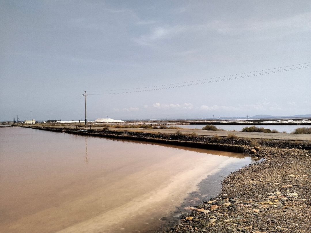 Saline Conti Vecchi-Assemini必去景点