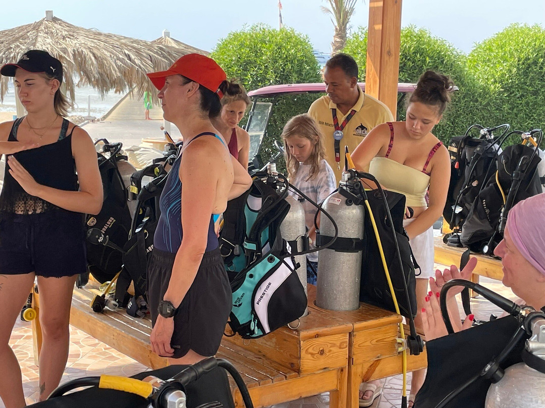 ORCA Dive Club Soma Bay-索马湾必去景点