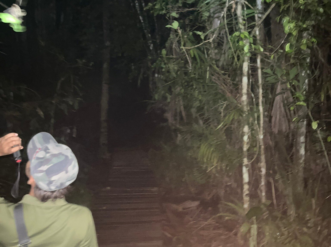 Bako National Park-古晋必去景点