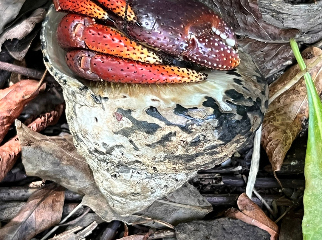 Playa Colorá-法哈多必去景点