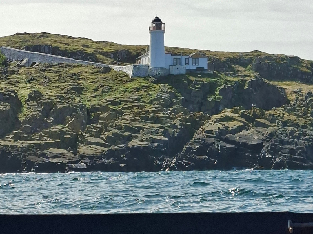 Isle Of May Boat Trips-Anstruther必去景点