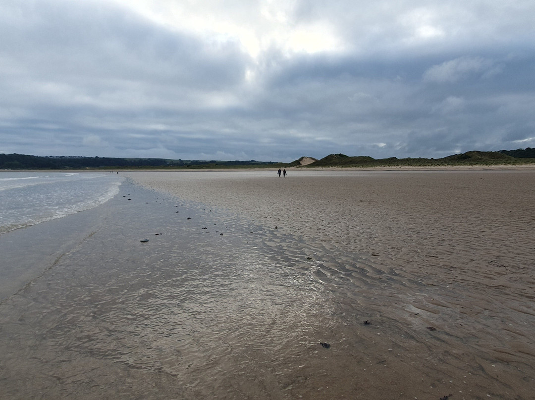 Oxwich Bay-斯温西必去景点