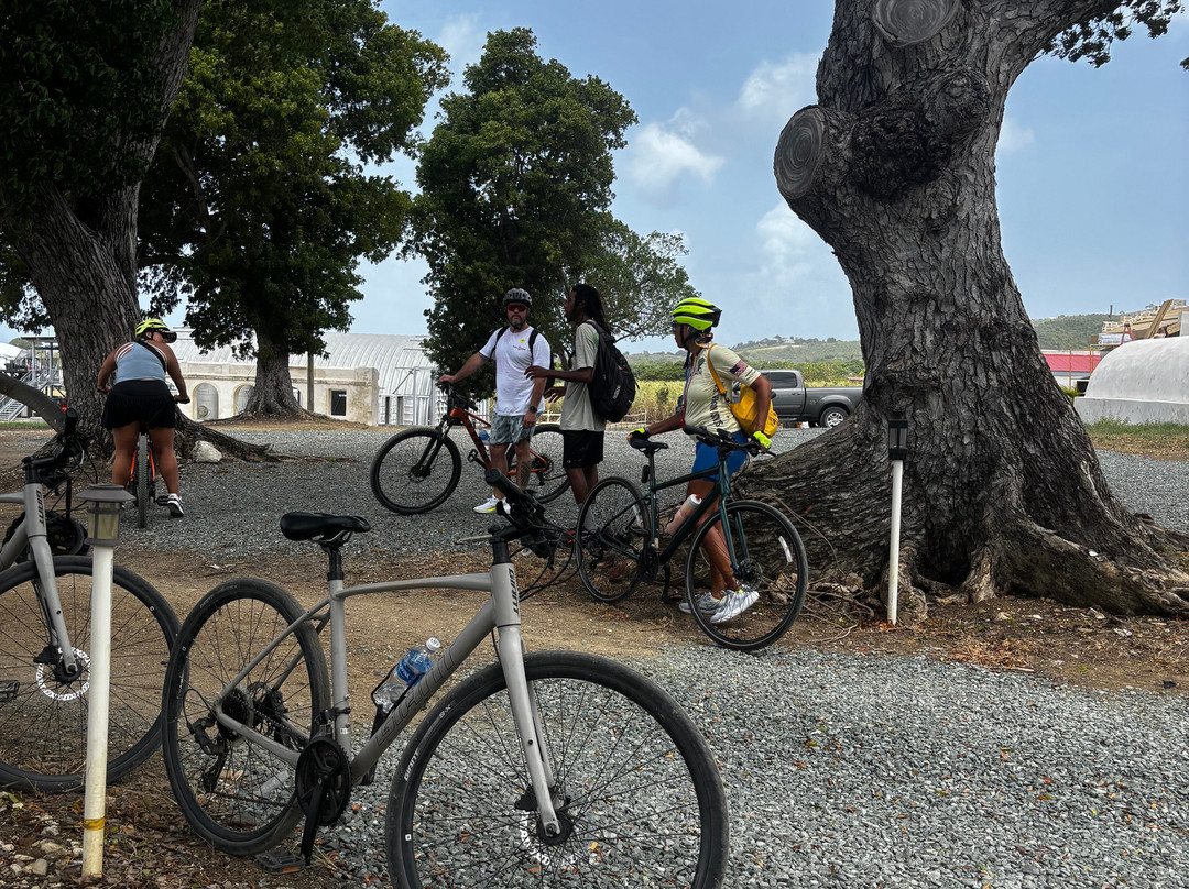 Island Life Adventures-Frederiksted必去景点