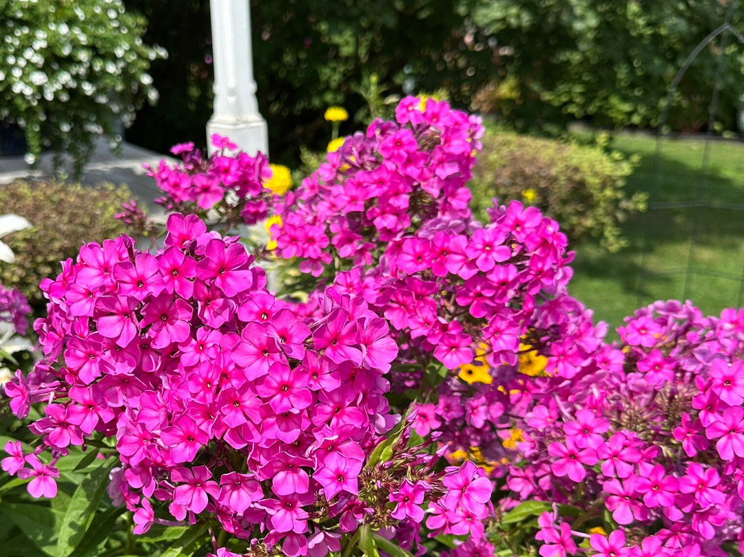 Bellaire Motel主图