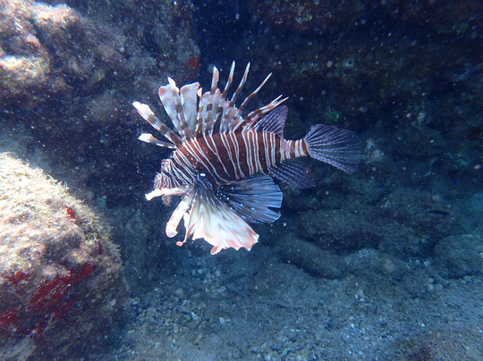 Trident Diving School-罗德斯必去景点