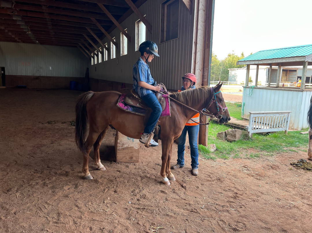 Venture Stables-Kensington必去景点