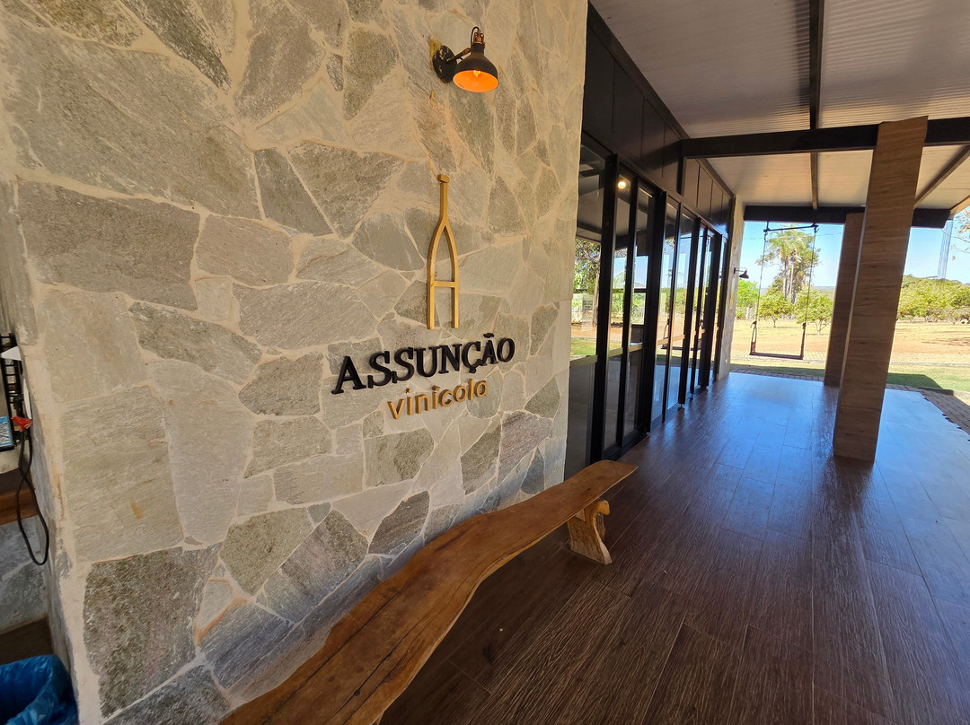 Vinícola Assunção-Pirenopolis必去景点