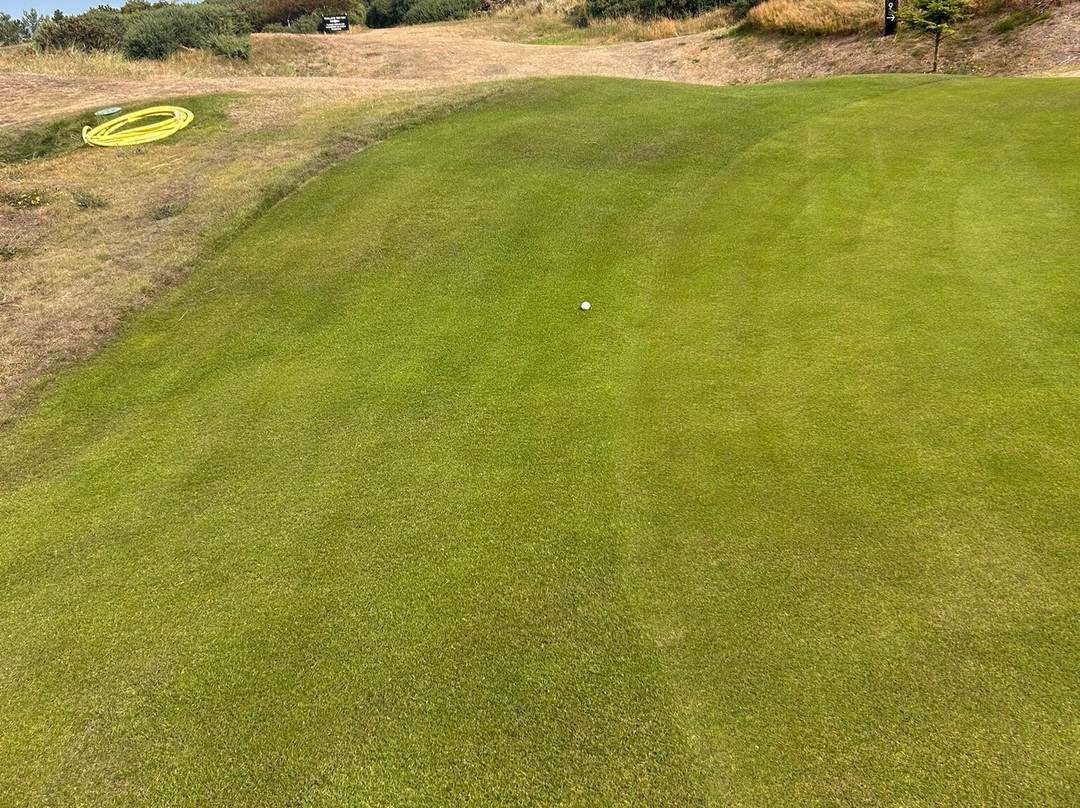 Covesea Links Golf Course-Duffus必去景点