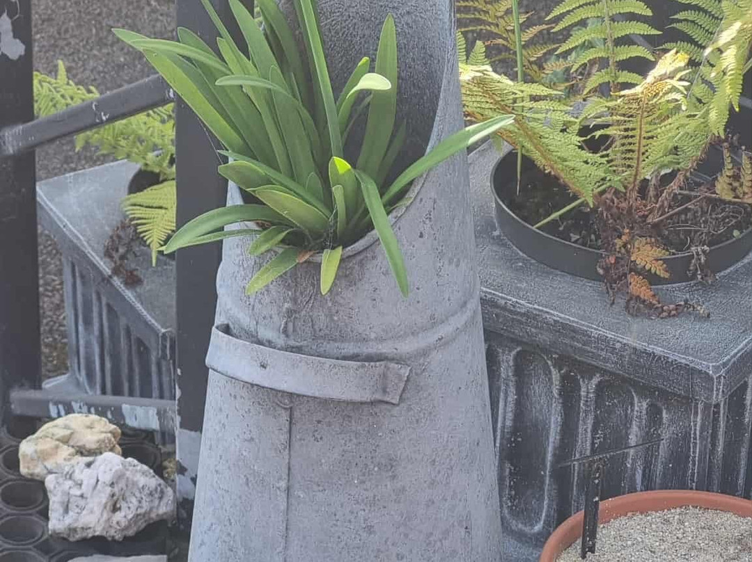 Coolwater Garden-利默里克必去景点