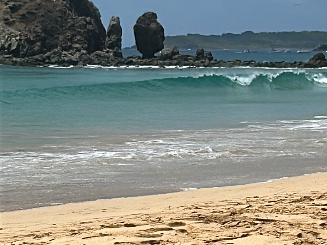 Praia da Conceição-费尔南多-迪诺罗尼亚群岛必去景点