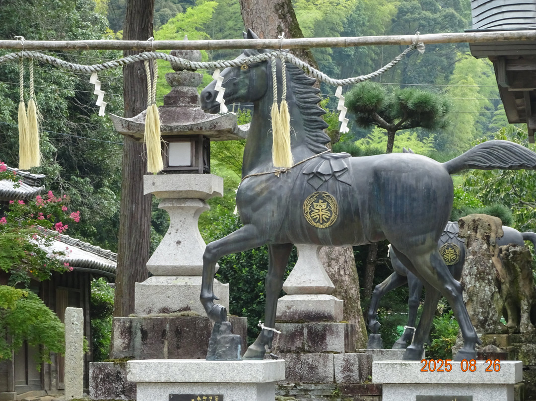 Ichinomiya Shrine-德岛市必去景点