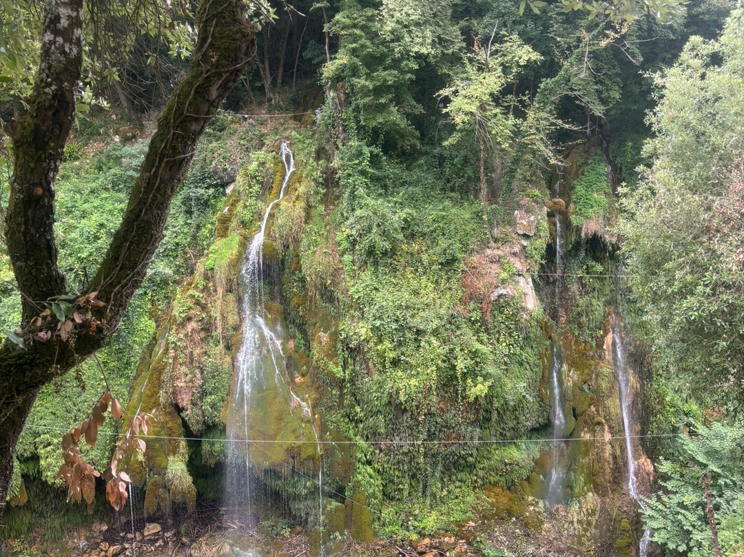 Cascades du Saut du Loup-Courmes必去景点