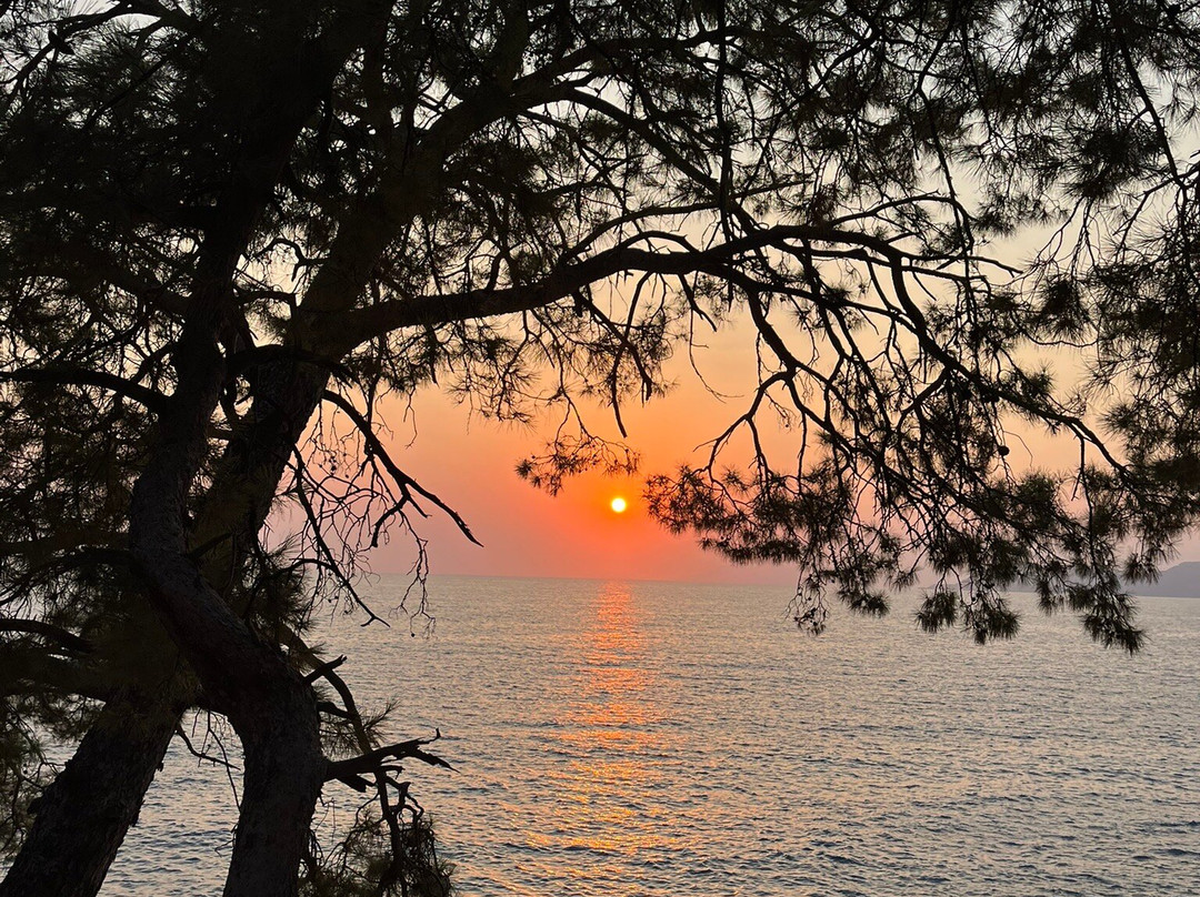 Rups Beach Club Fethiye-蝴蝶谷必去景点
