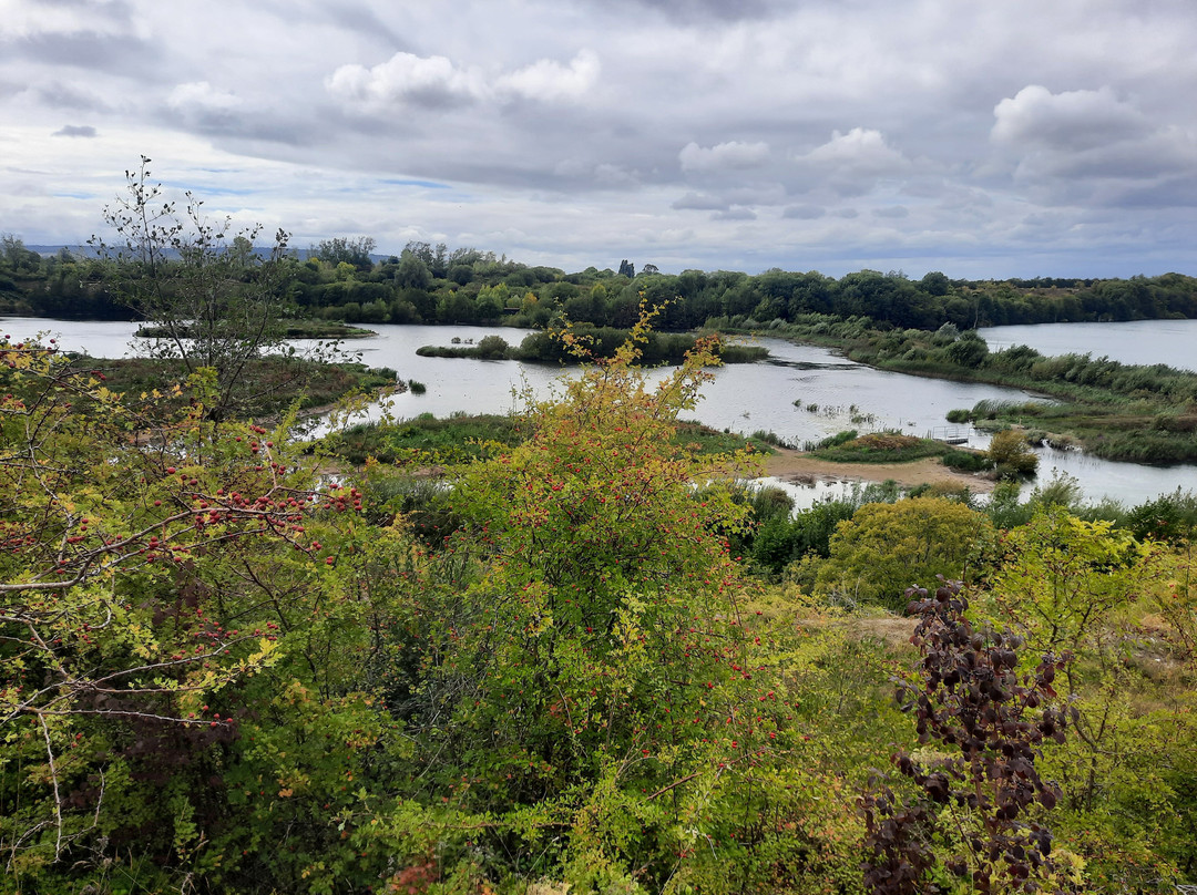 College Lake Nature Reserve-Tring必去景点