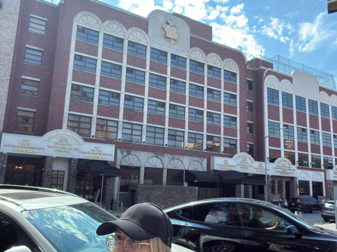 Tours by Frieda-布鲁克林必去景点