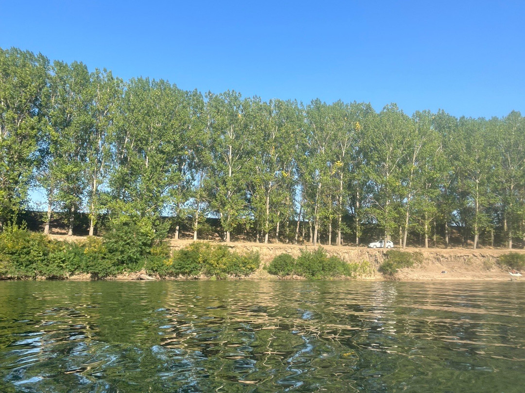 Kayaking Tours-基希讷乌必去景点