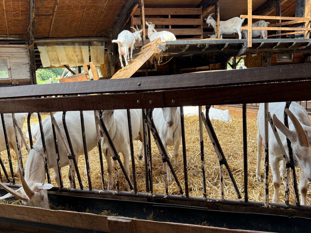 Geitenboerderij Ridammerhoeve-阿姆斯特尔芬必去景点