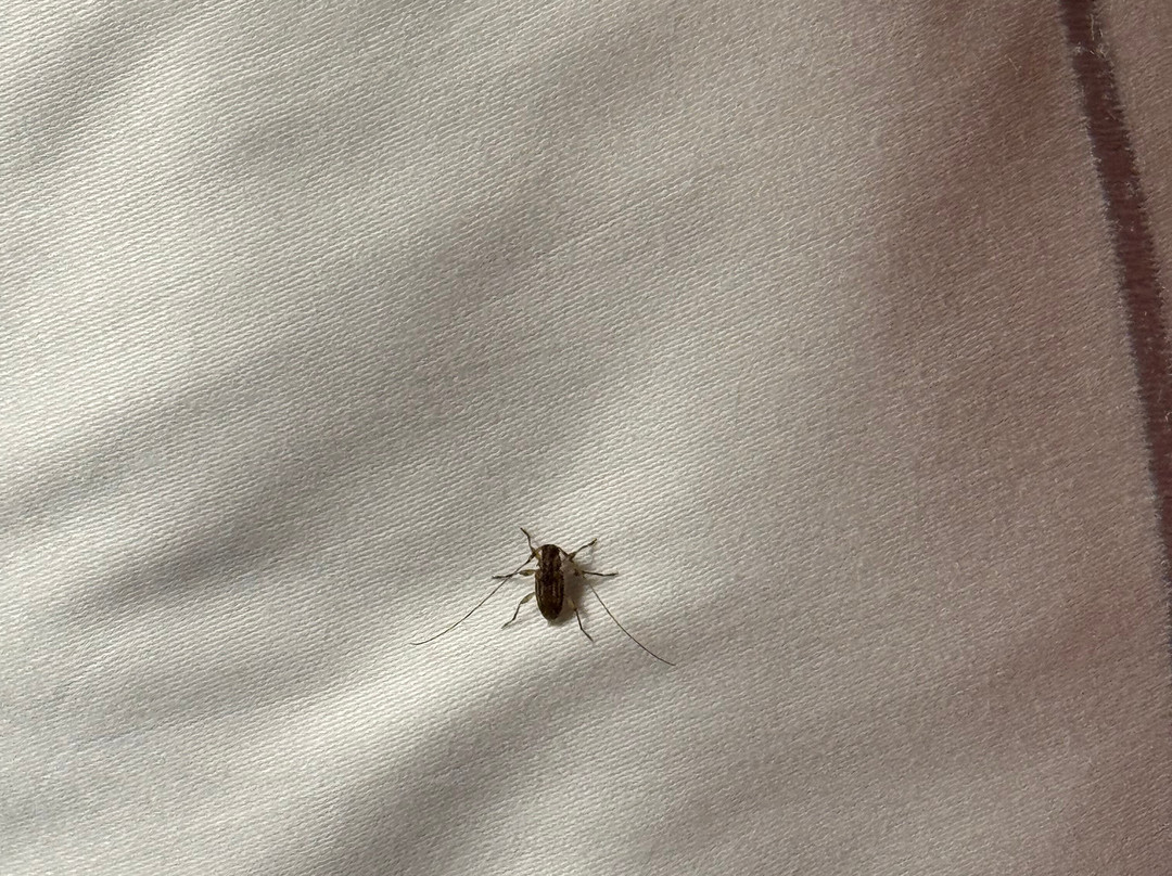 奥兰多市区希尔顿双树酒店主图