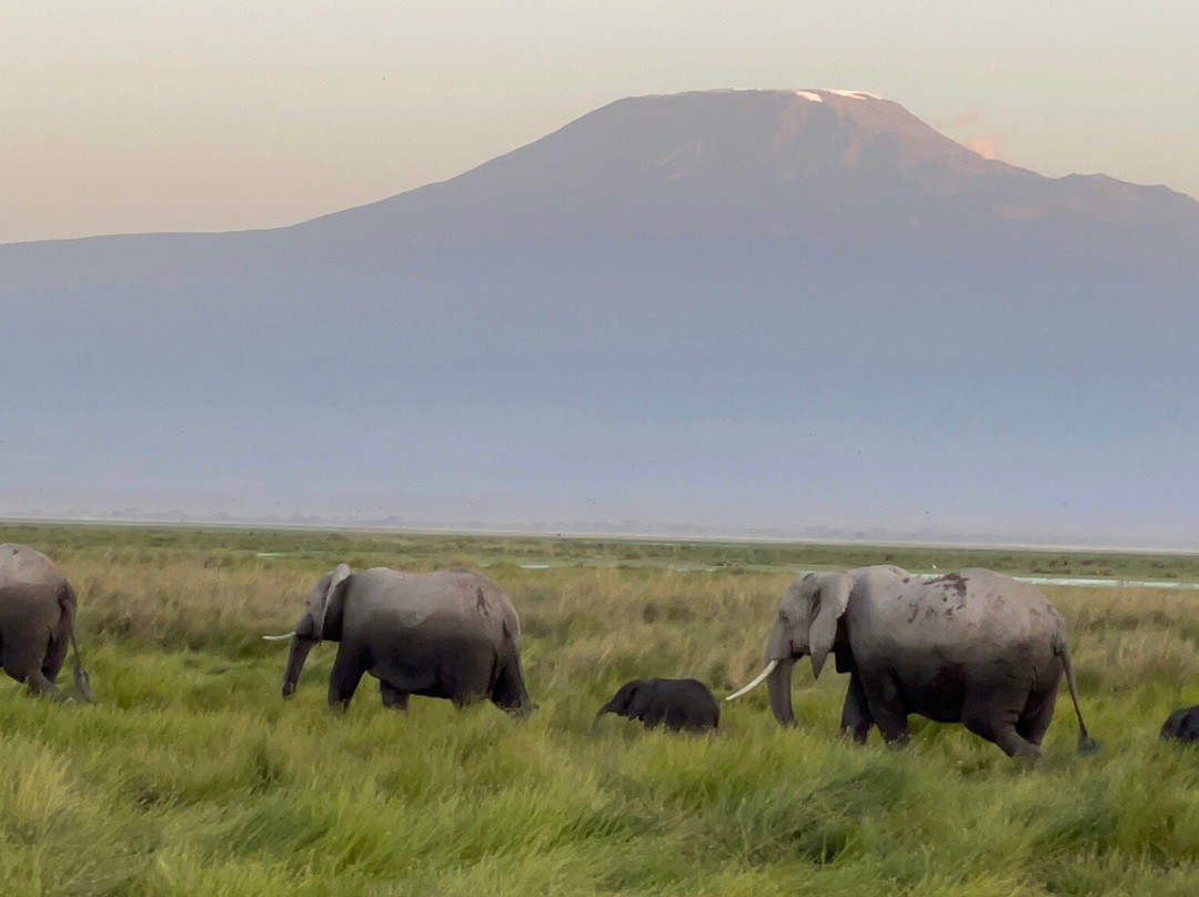 Sunworld Safaris-内罗毕必去景点