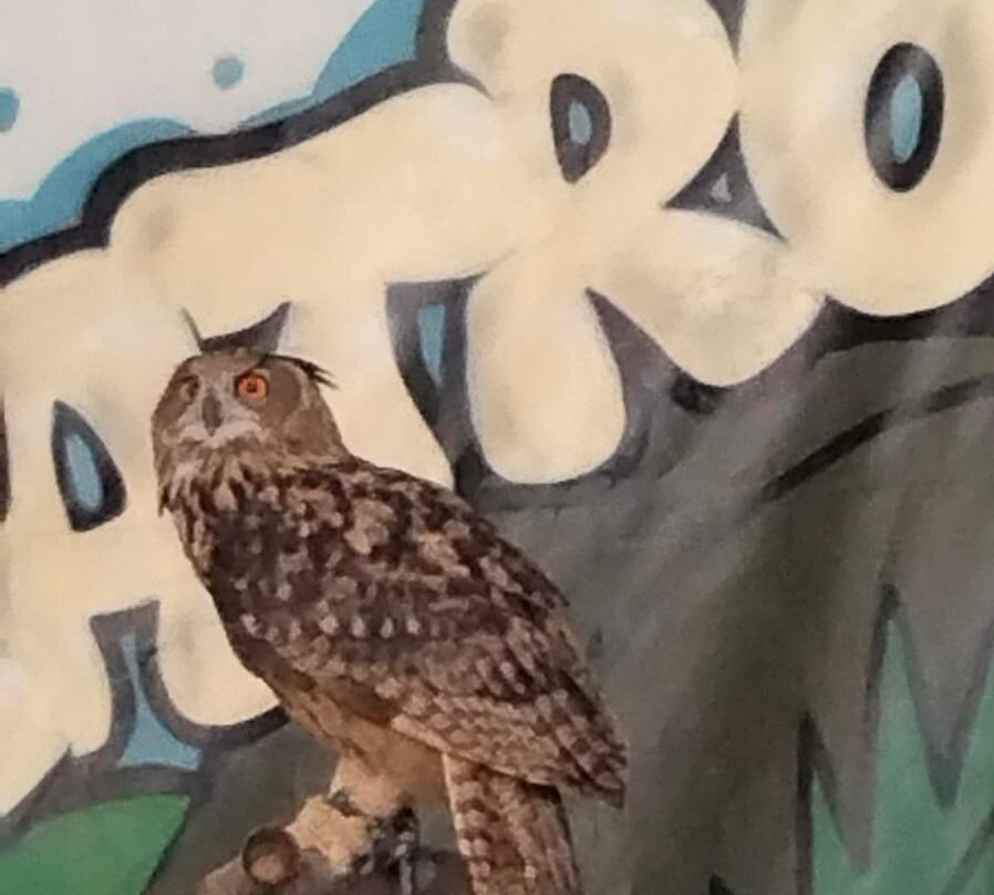 Zoo d'Abruzzo-Rocca San Giovanni必去景点