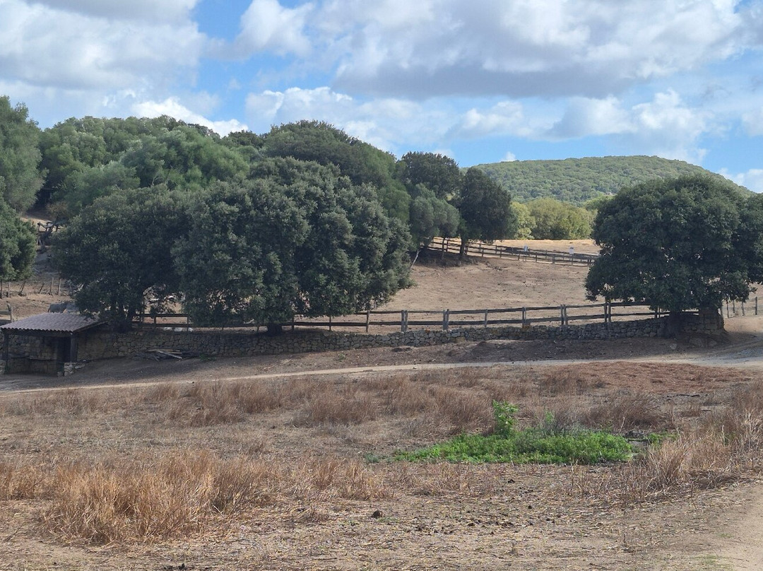 Parc Naturel D'Olva-Sartene必去景点