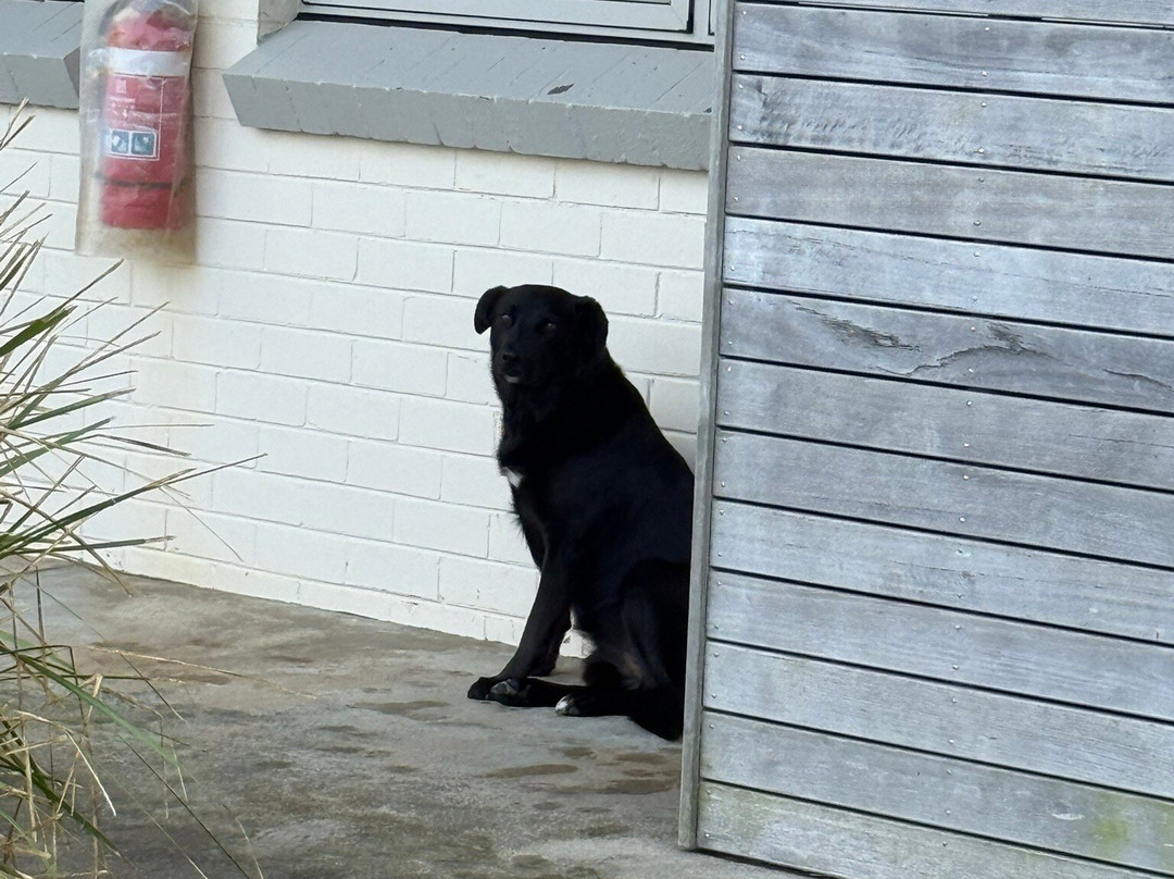 Peterborough House主图