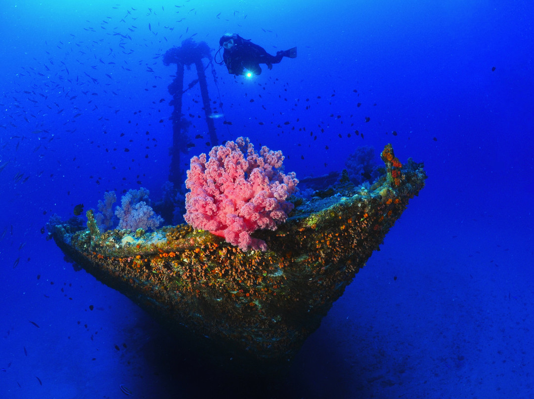 Diving World-大湾必去景点