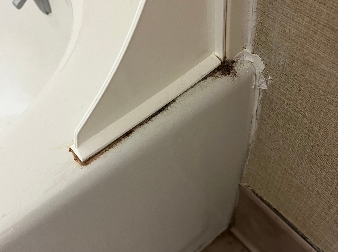 Comfort Inn & Suites主图