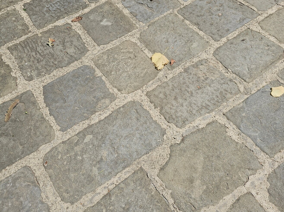 Montecatini Alto-Montecatini Alto必去景点