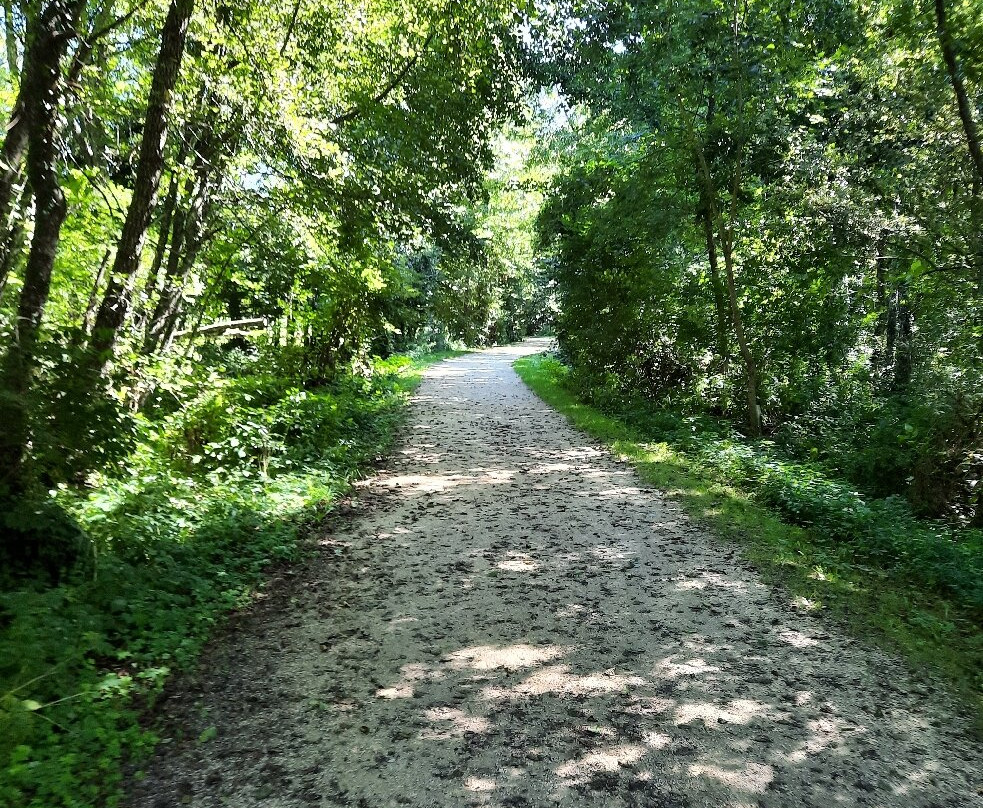 Chemin Des Marais De La Véronnière Et Du Courbon-Paladru必去景点