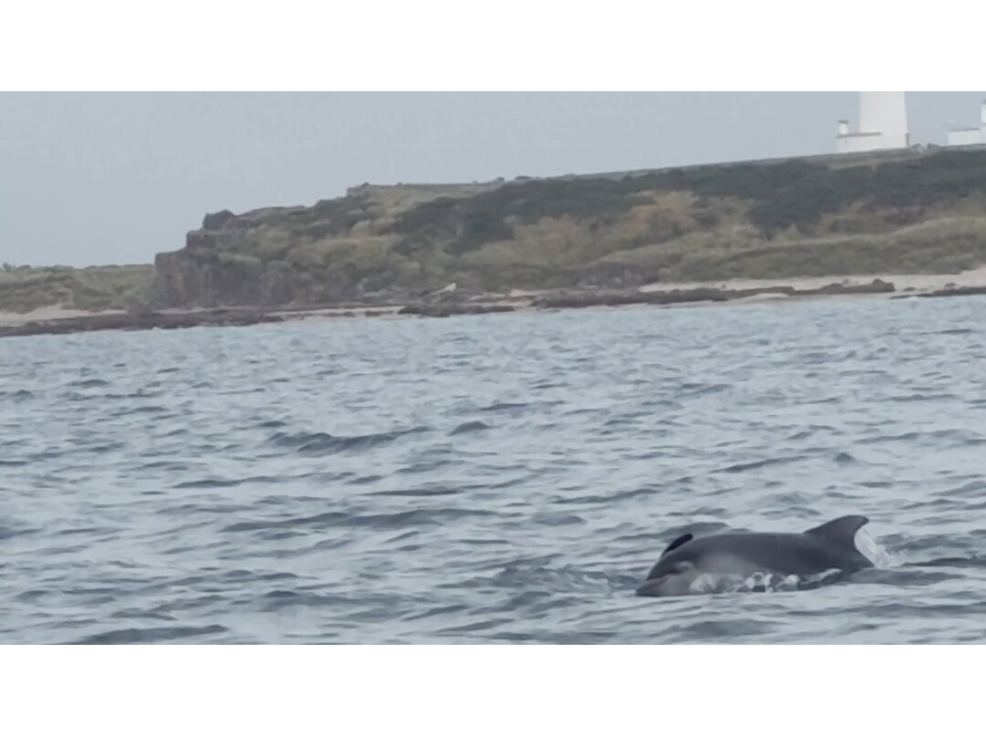 North 58 Sea Adventures-Lossiemouth必去景点