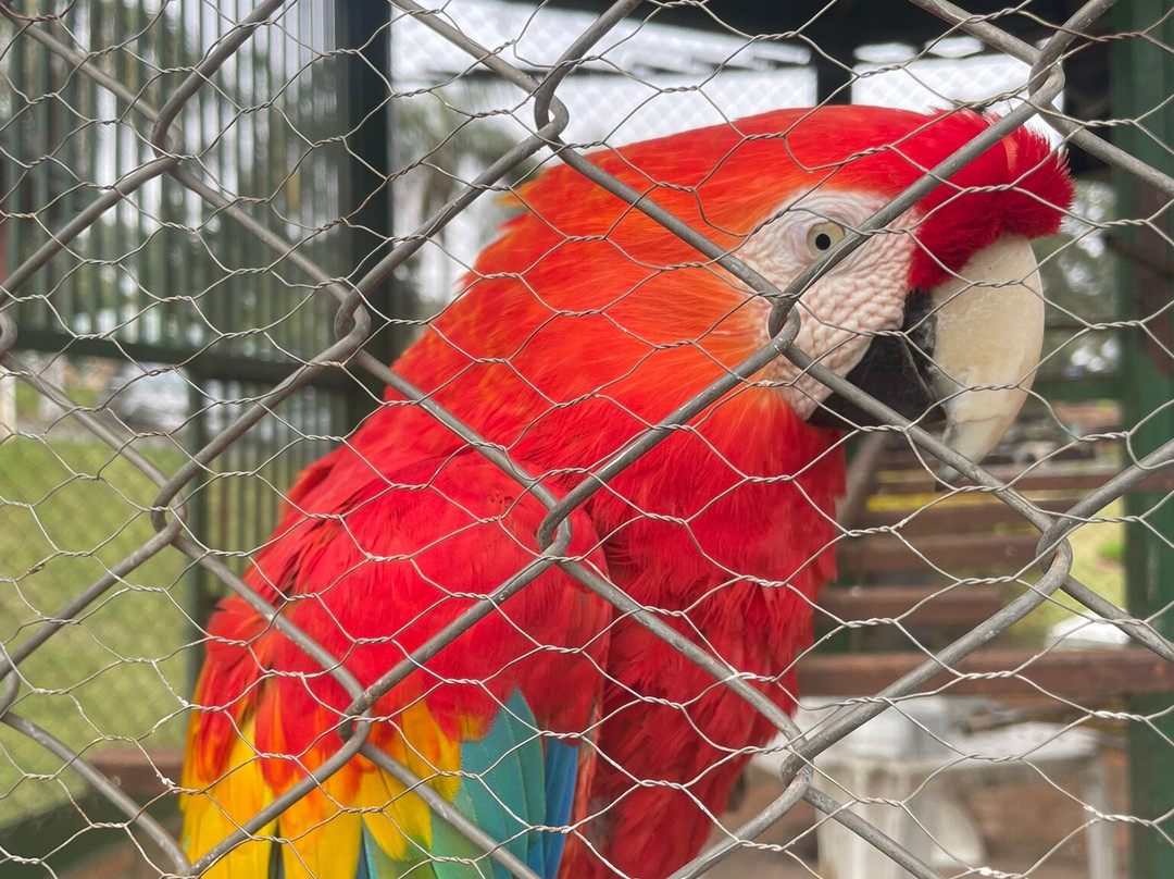 Hotel Fazenda Poços de Caldas主图