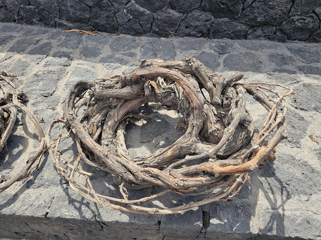 Estate Argyros-圣托里尼必去景点