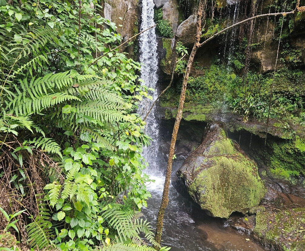 Kilema Paradise主图