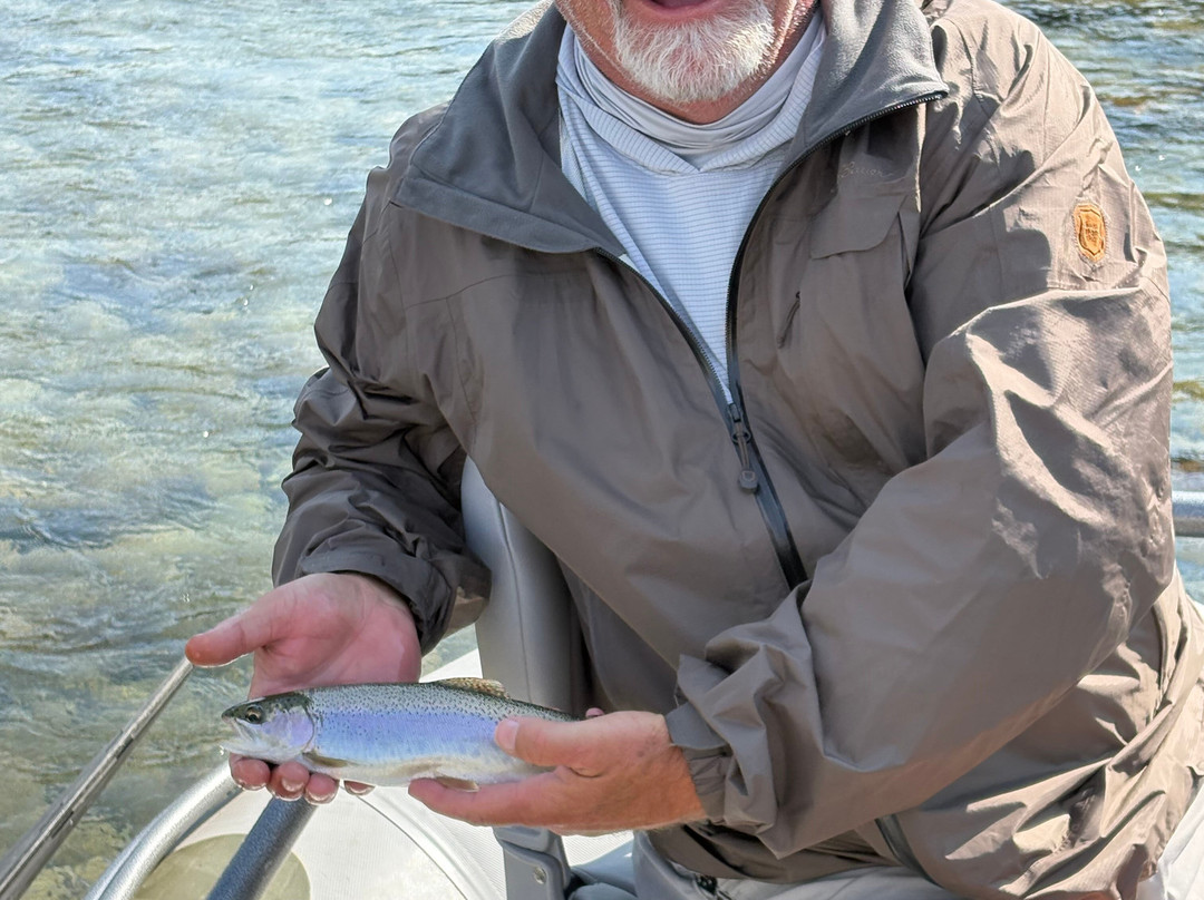 Wild River Adventures - Day Tours-西格拉西尔必去景点