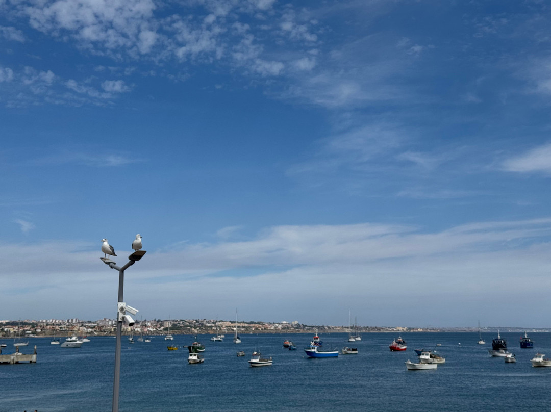 Odyssey Tours - Day Tours & Experiences-里斯本必去景点