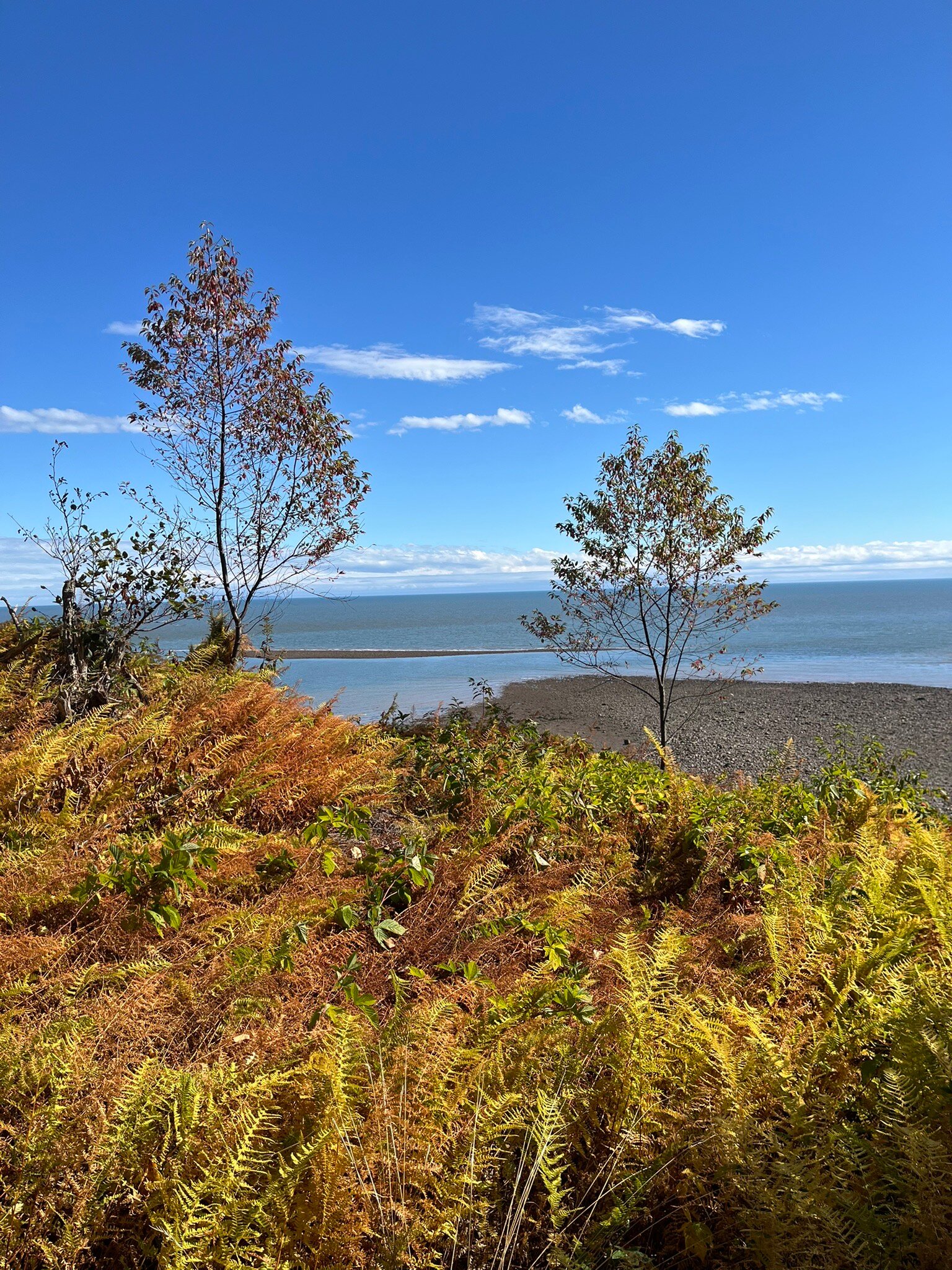 Fundy Footprints Bed And Breakfast-官方