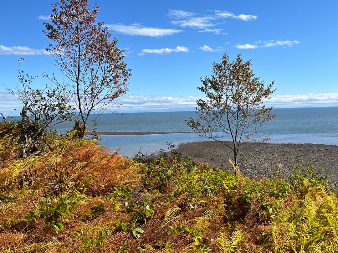 Fundy Footprints Bed And Breakfast主图