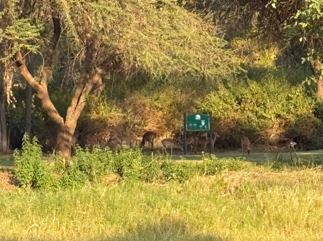 The Kilimanjaro Golf and Wildlife Estate-阿鲁沙必去景点