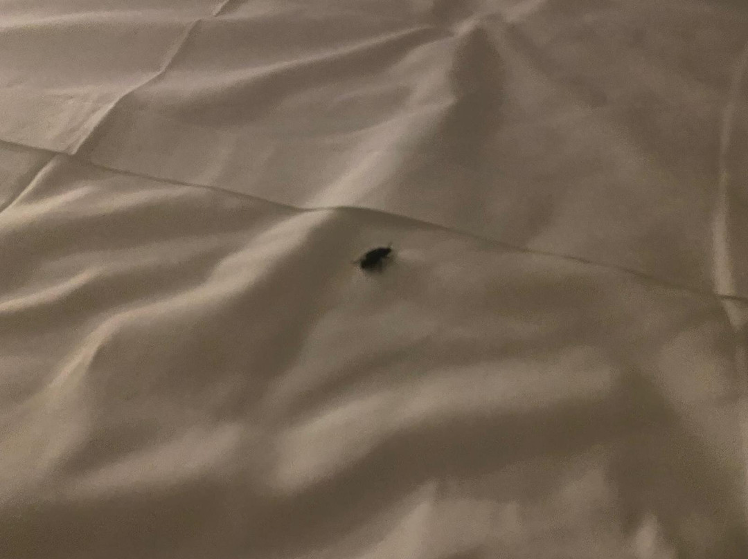 海湾套房酒店主图