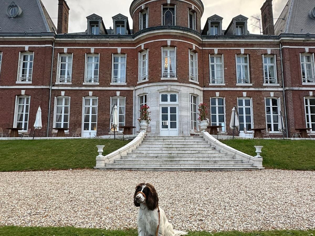 Chambres D'hotes Chateau Du Landin主图