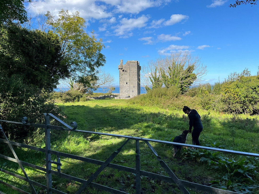 Gleninagh Castle and Fulacht Fiadh-Ballyvaughan必去景点