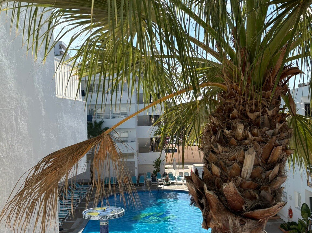 Apartamentos Vibra Tropical Garden主图