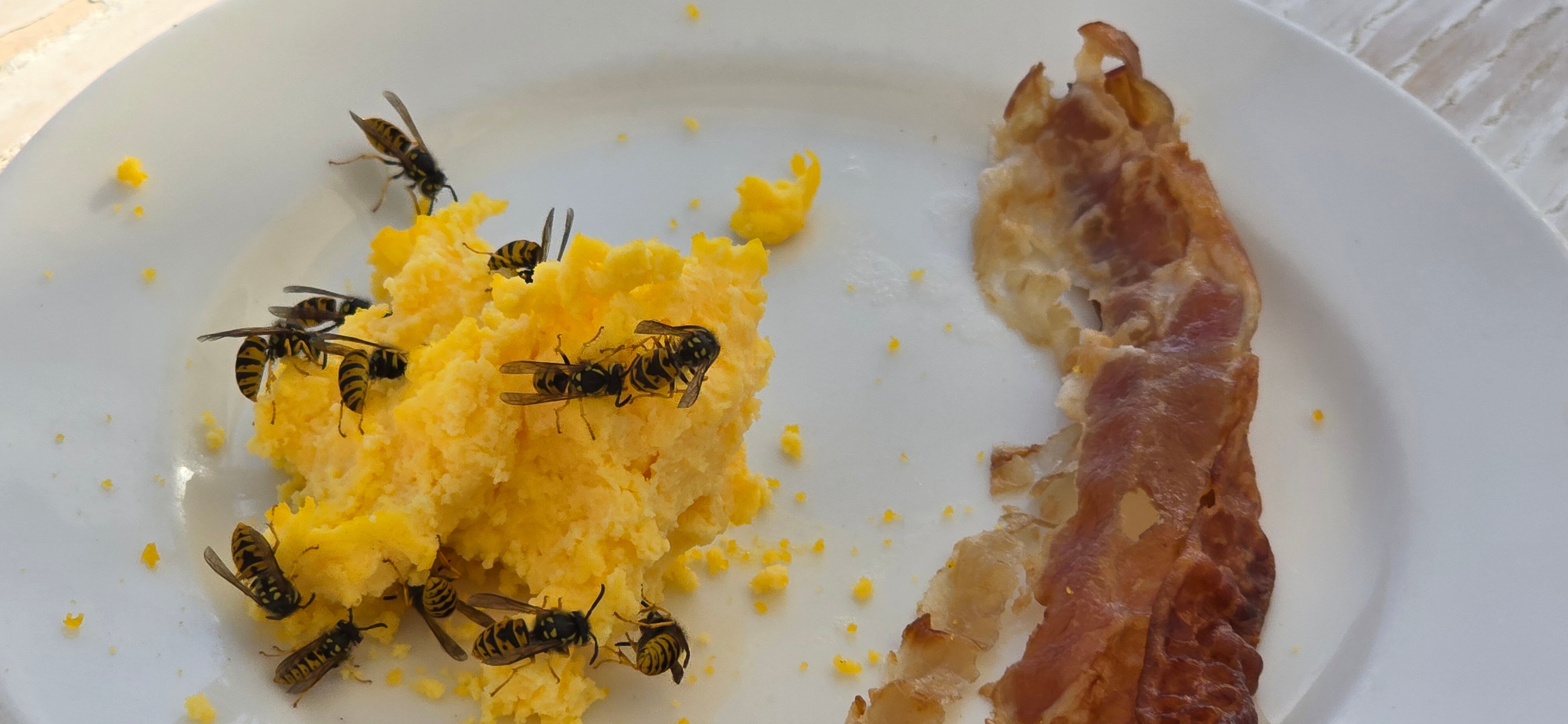 贾纳斯苏马雷酒店-官方