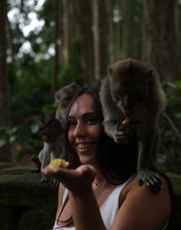 Japa Bali Tours-乌布必去景点